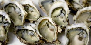 How Long Do Oysters Last