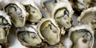 How Long Do Oysters Last? Tips To Keep Them Fresh Longer - Pantry Tips