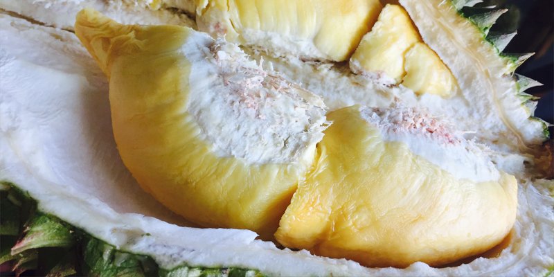 Durian Fruit