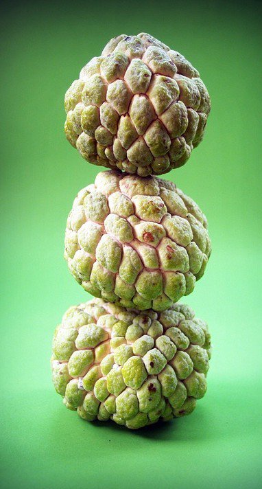 stacked custard apple