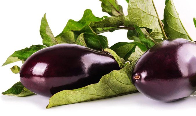 how long does eggplant last