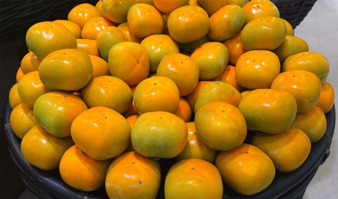fresh persimmons