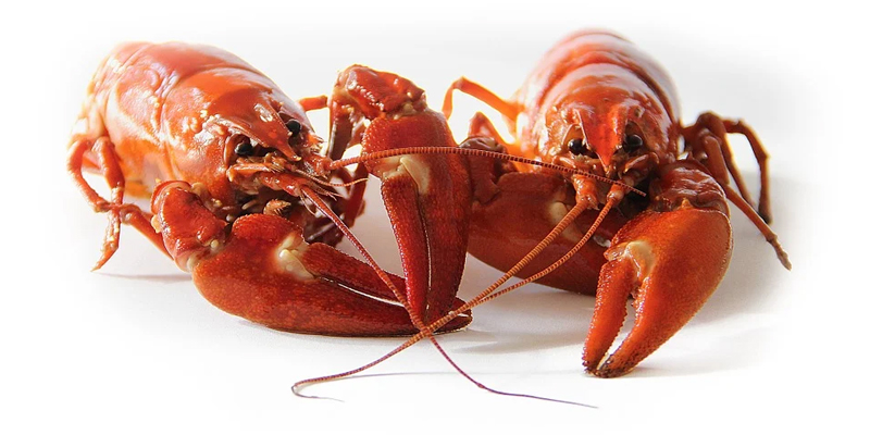 Can You Freeze Crawfish? How To Store ... - Pantry Tips