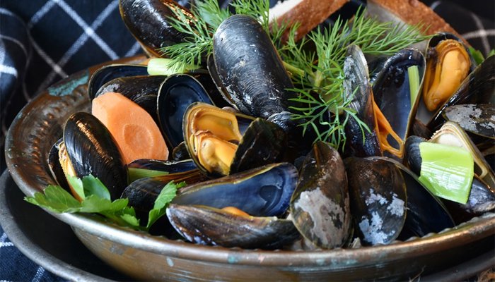 Can You Freeze Mussels Storage Guide Pantry Tips