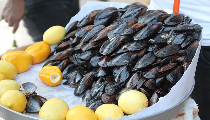 fresh mussels