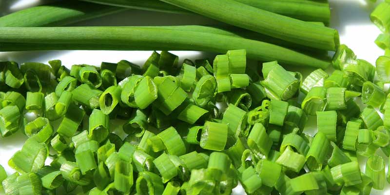 fresh chives