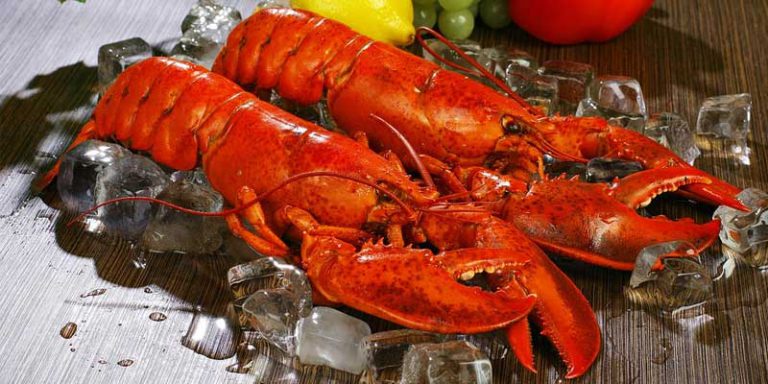 Can You Freeze Lobster Best Ways To Store Them Pantry Tips