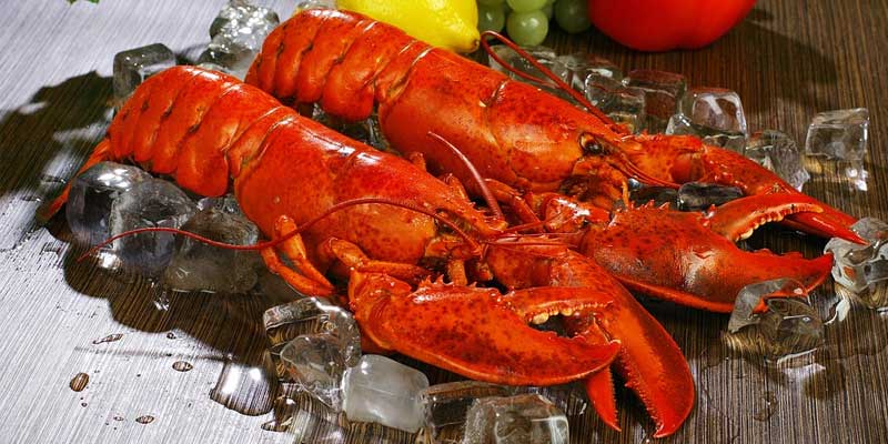 Easy Steps To Freeze A Live Lobster 2024 Atonce