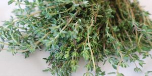 can you freeze thyme