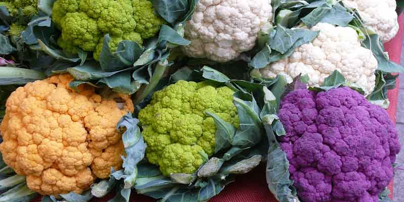cauliflower varieties