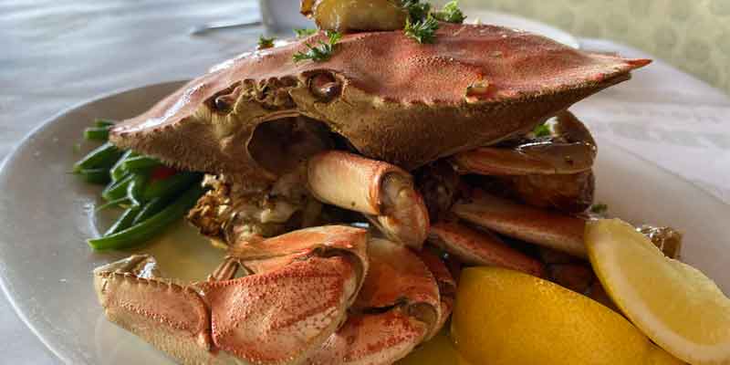 can you freeze cooked dungeness crab