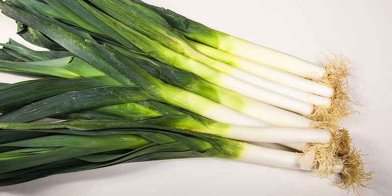 can-you-freeze-leeks-best-ways-to-preserve-them-pantry-tips