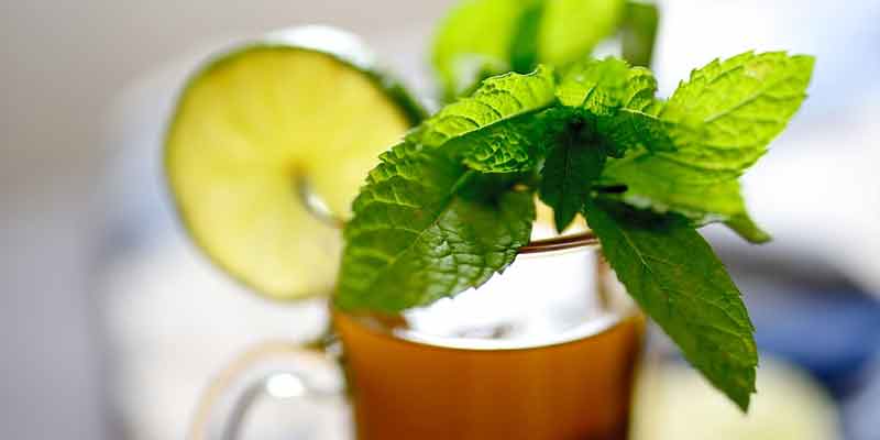 mojito drink