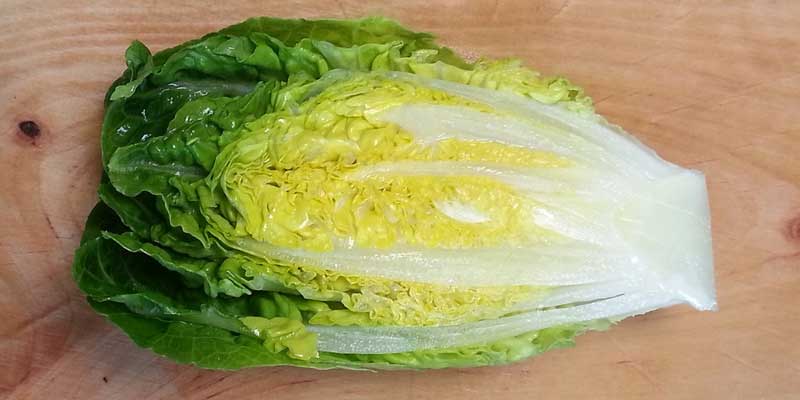 romaine lettuce