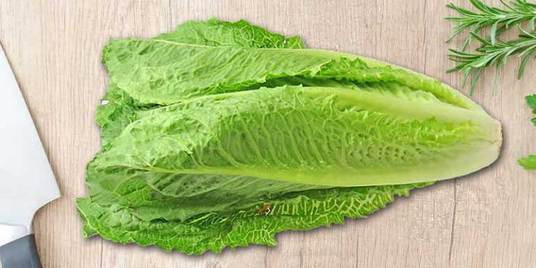 can you freeze romaine lettuce
