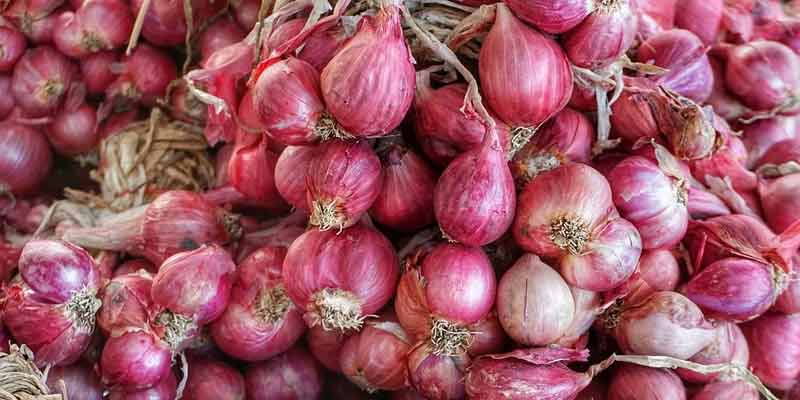 fresh red shallots