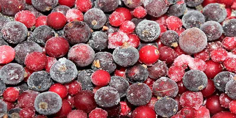 Can you freeze cranberries
