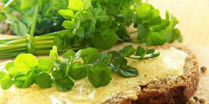 How Long Does Watercress Last