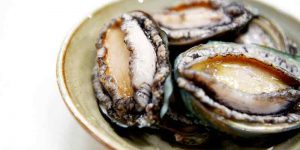 Can You Freeze Abalone