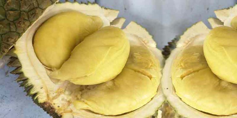 Can You Freeze Durian Pantry Tips