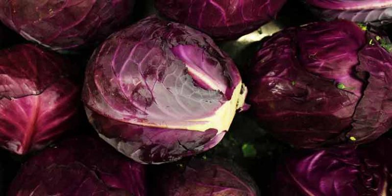 Can You Freeze Red Cabbage Pantry Tips