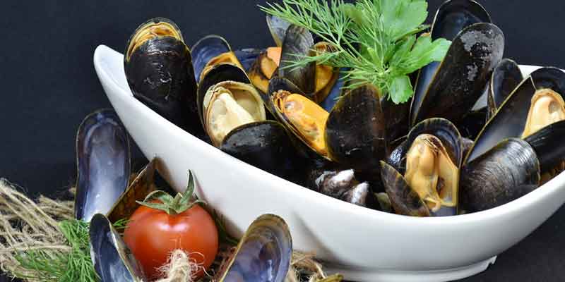 can-you-freeze-cooked-mussels-pantry-tips