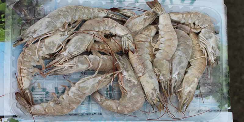 does korean salted shrimp go bad