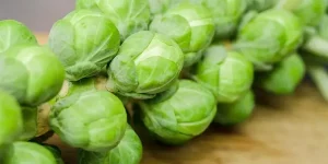 Do Brussels Sprouts Go Bad