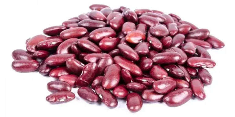 Can You Freeze Kidney Beans