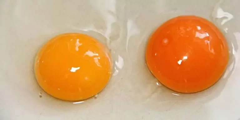Can You Freeze Egg Yolks