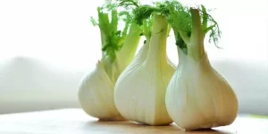 Does Fennel Go Bad