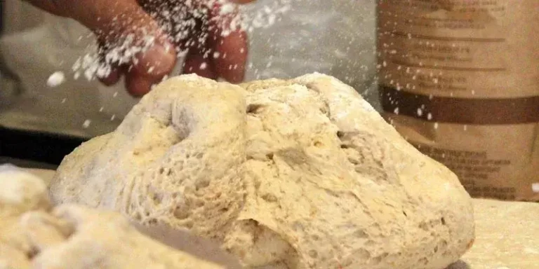 Can You Freeze Pasta Dough