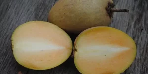 How Long Does Sapote Last