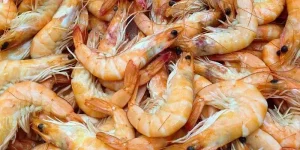 How Long Can Cooked Shrimp Stay Out