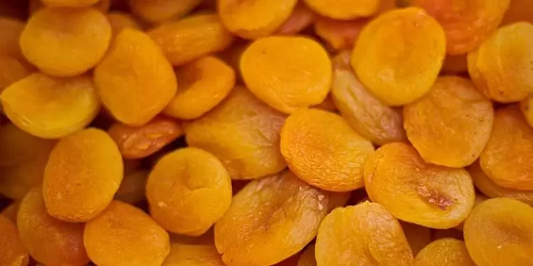 Can You Freeze Dried Apricots