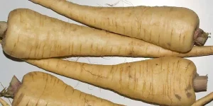 Can You Eat Raw Parsnips
