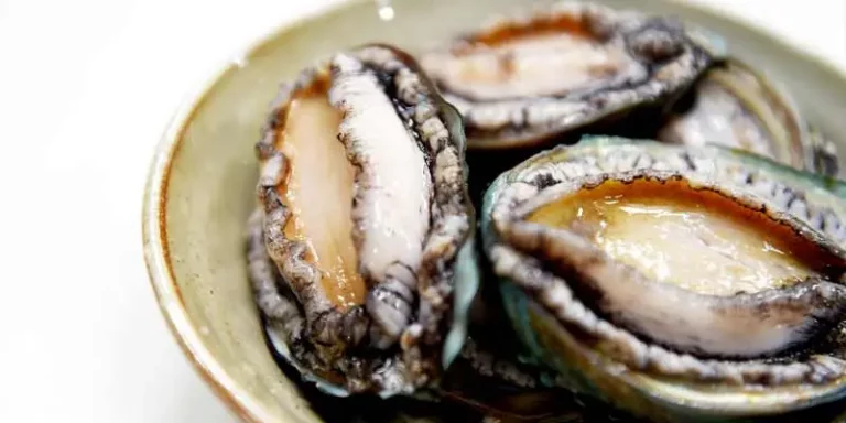 Can You Eat Abalone