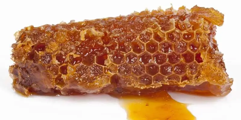 Can You Eat Honeycomb? - Pantry Tips