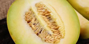 Can You Eat Honeydew Seeds