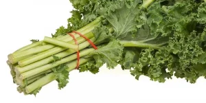 Can You Eat Kale Stems