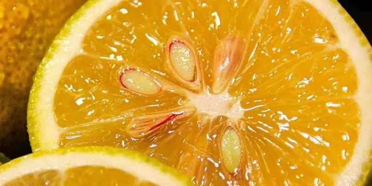 Can You Eat Lemon Seeds
