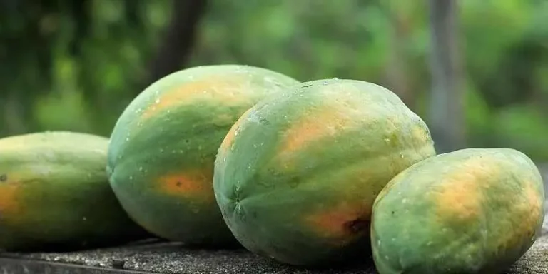 Can You Eat Papaya Skin