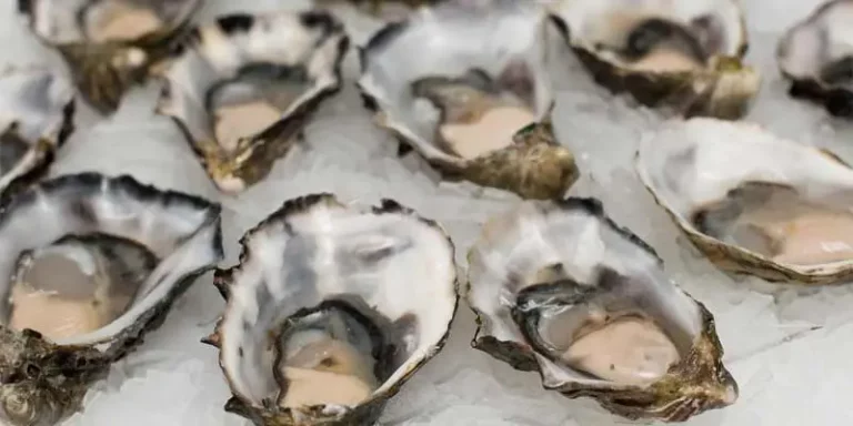 Can You Eat Raw Oysters