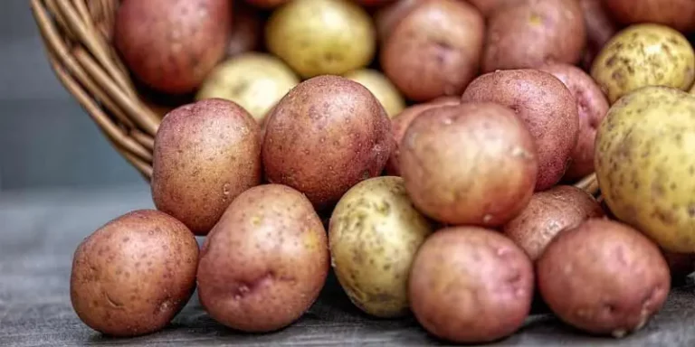 Can You Eat Raw Potatoes