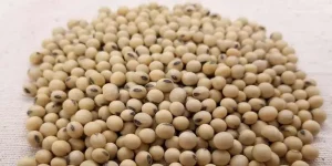 Can You Eat Soybeans