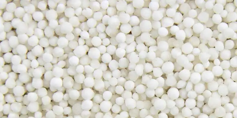 Can You Eat Tapioca Pearls? - Pantry Tips