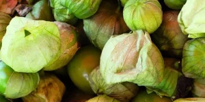 Can You Eat Tomatillos Raw
