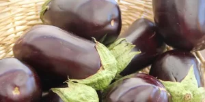 Can You Eat Raw Eggplant