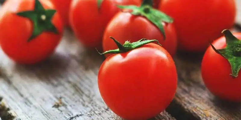 Can You Refrigerate Tomatoes The Answer Pantry Tips   Canyourefrigeratetomatoes.webp