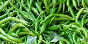 Can You Freeze Green Chilies